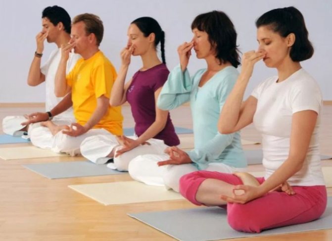 Йога для начинающих в домашних условиях для похудения и здоровья. Видео уроки