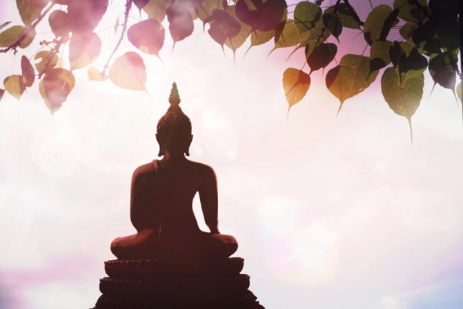 медитация, путь к просветлению, буддизм, будда