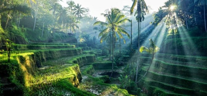 Новый 2020 год! Йога-тур в Индонезию на остров Бали