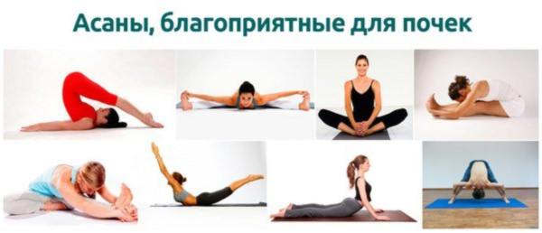 Упражнения для почек - йога